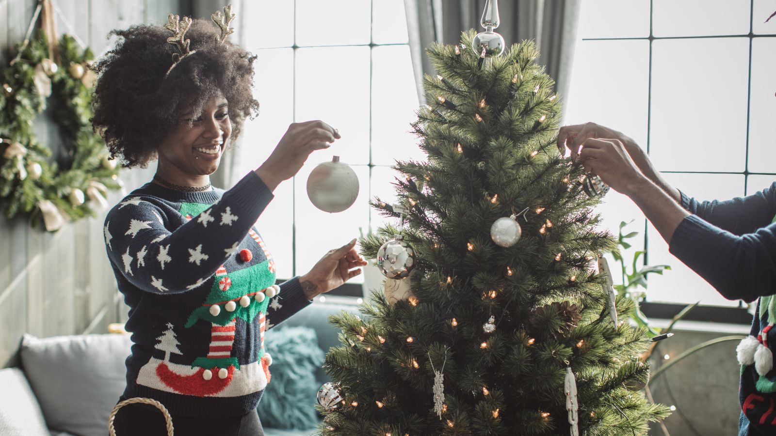 Where to buy Christmas trees in London Blog Zipcar